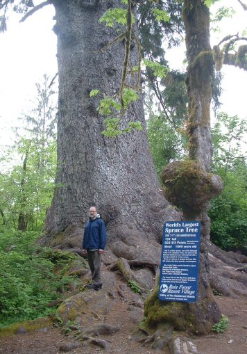 Hoh Rain Forest