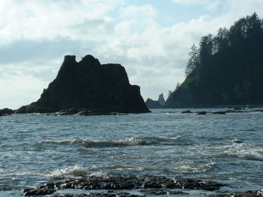 Hoh Rain Forest